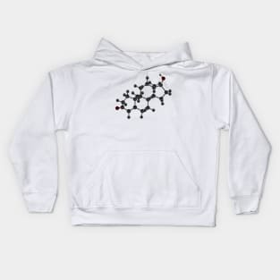 Testosterone Molecule Kids Hoodie